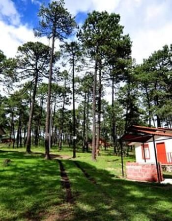 Cabañas y Parque Ecológico “El Tecuán”